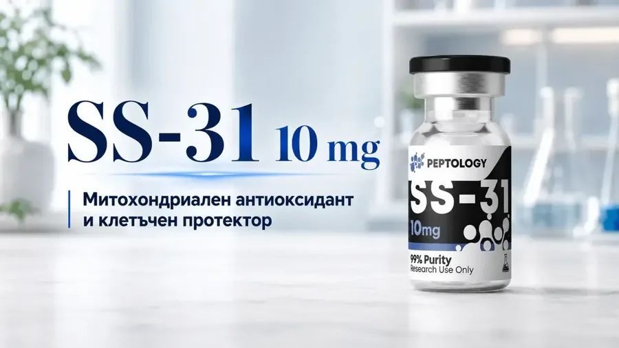 SS-31 (Elamipretide) : mitochondries, régénération et énergie cellulaire